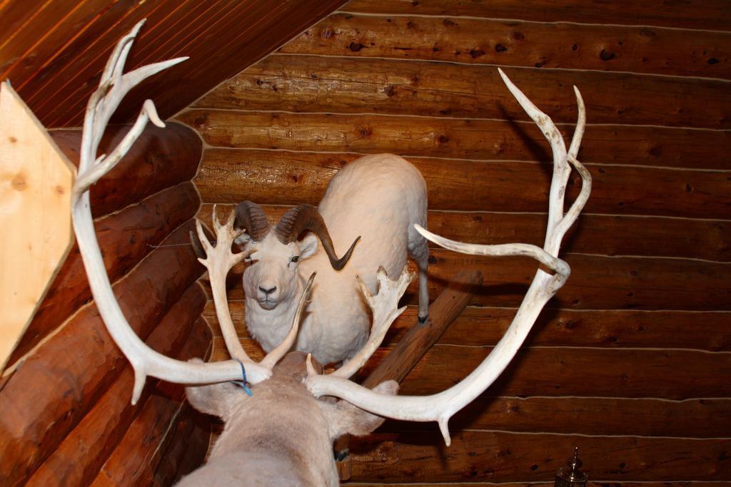 Wise Old Hunter Lodge Anchor Point Номер фото